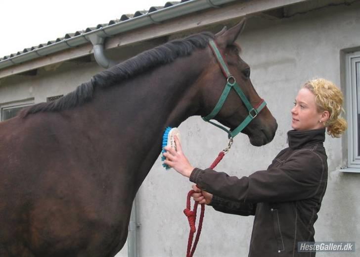 Trakehner Fionette E - Fionette og jeg.  billede 3