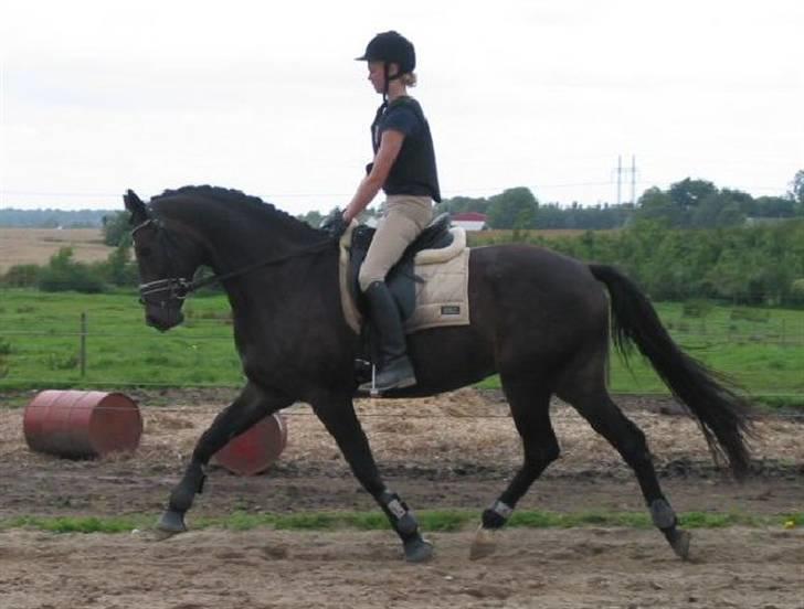 Trakehner Fionette E - Fionette og jeg. billede 7