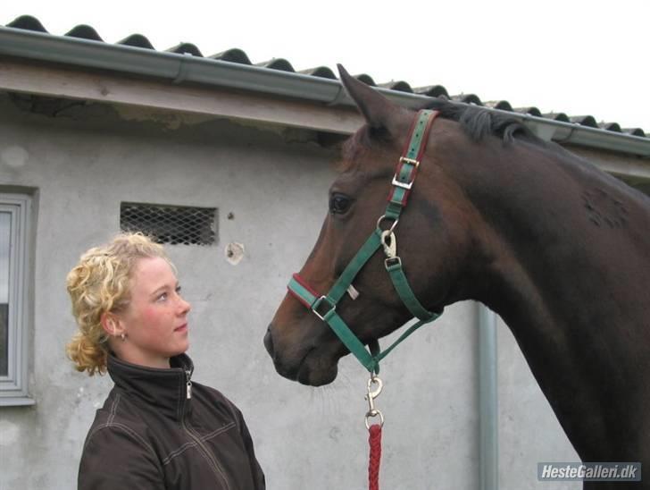 Trakehner Fionette E - Fionette og jeg. billede 13