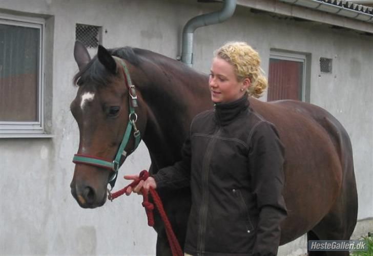 Trakehner Fionette E - Fionette og jeg. billede 16