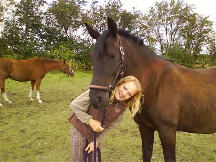 Anden særlig race Fromsmindes Effino. SOLGT - ku kuk billede 5