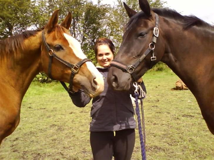 Anden særlig race Fromsmindes Effino. SOLGT - Paw, min søster og Effino den smukke billede 6