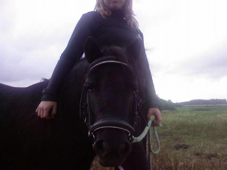 Miniature Tatjana - Hey det er mig der hedder Tatjana :D billede 1