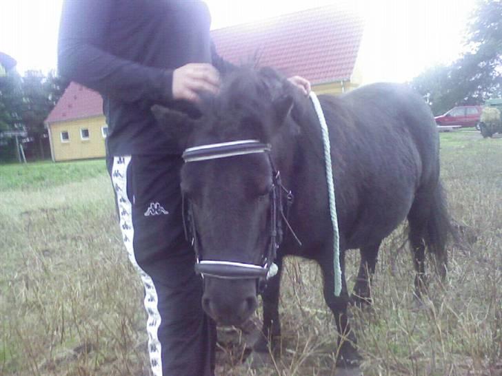 Miniature Tatjana - Line kæler lige for mig  billede 2