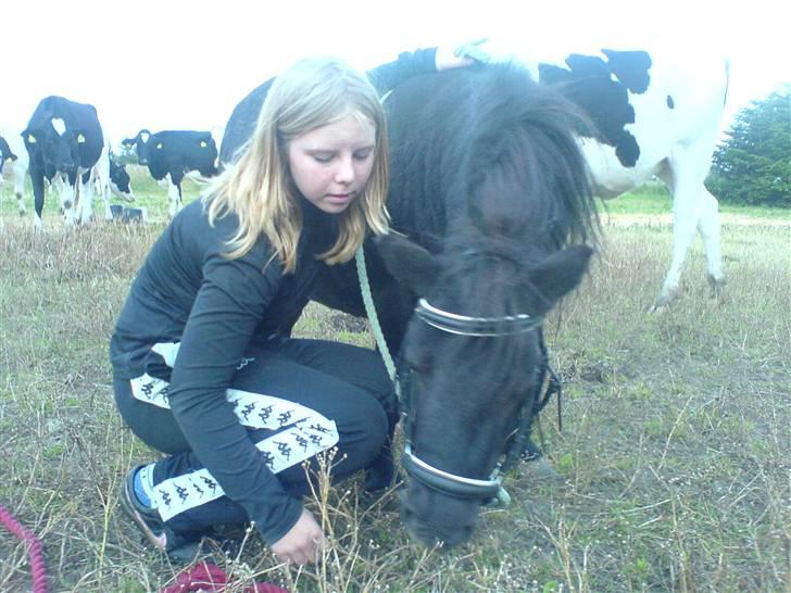 Miniature Tatjana - Jeg er lige blevet sulten billede 3