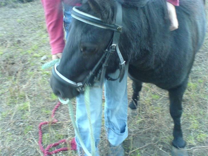 Miniature Tatjana - Nu kæler Louise for mig  billede 7