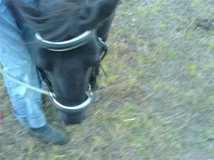 Miniature Tatjana - Er ved at bide Louise billede 10