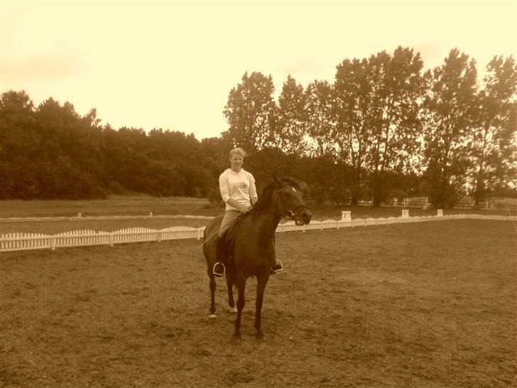 New Forest Opbroeks Mayday (solgt) - Første gang jeg rider hende efter hun er solgt. billede 8