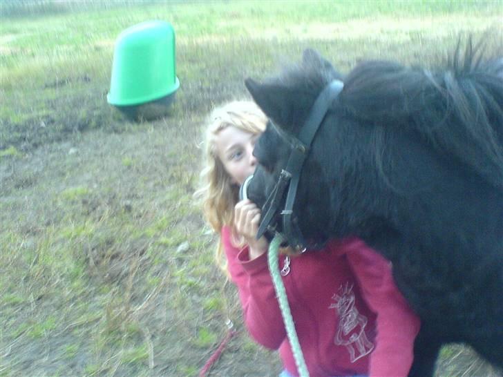 Miniature Tatjana - Nu kan jeg se nogle kør billede 13