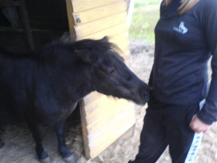 Miniature Tatjana - Nu driller jeg Line billede 18