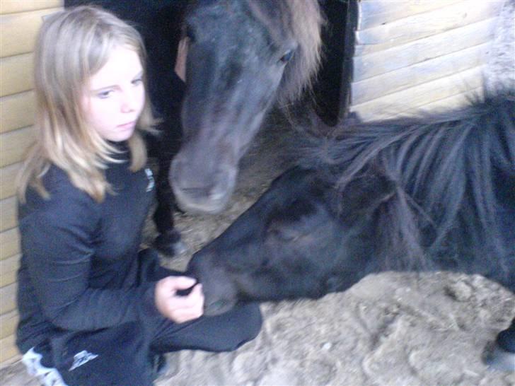 Miniature Tatjana - Det gør jeg igen billede 19