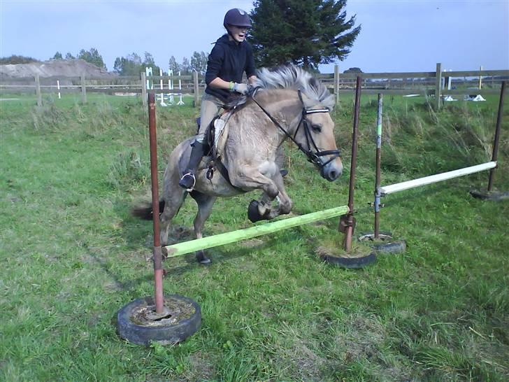 Fjordhest Silvia.. R.I.P - Mig og cille springe 40 cm. Det er sååå godt gået af hende :P Foto: Kada <3 billede 15
