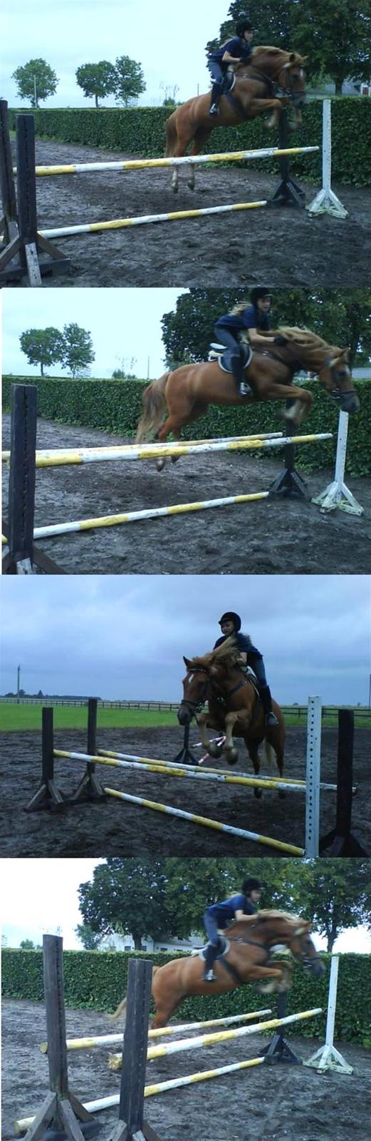 New Forest Tot - spring<3 billede 16