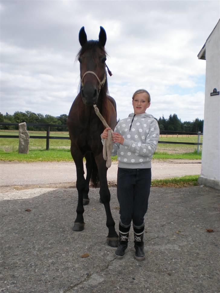 Traver Maximum Laser  - maxi
 billede 1