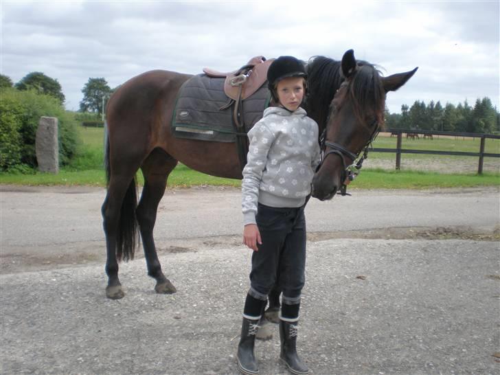 Traver Maximum Laser  - Maximum :) billede 4