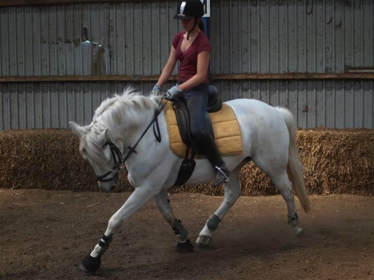 Connemara Skatholm Surf Rider-solgt - Velkommen til skatholm surf riders profil <3. Læg gerne en kommentar :D billede 1