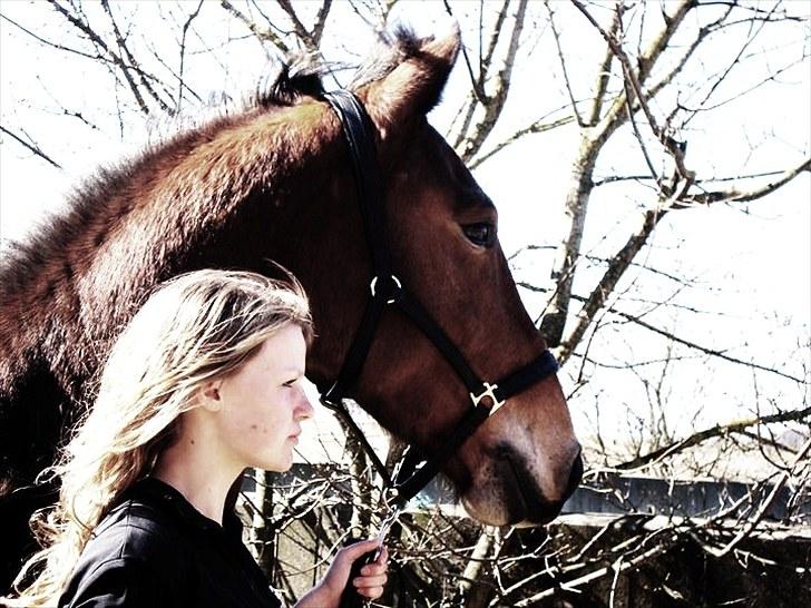 Anden særlig race Valentin af Rosenholm  - Velkommen til Valentins profil :D bare kig videre billede 1