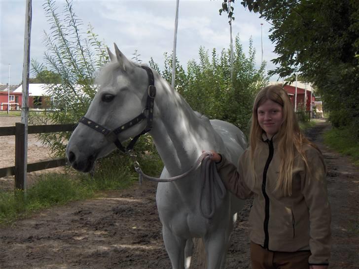 Anden særlig race *Gl. Part* Chivas - ´´Hva var det´´ heh hun gad ikke stå stille billede 8