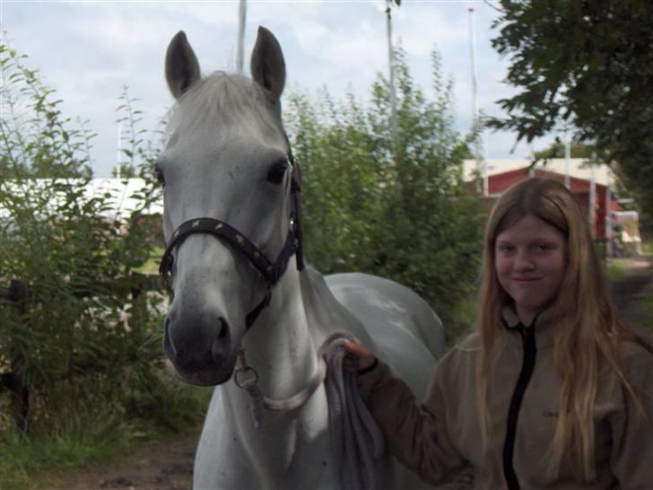 Anden særlig race *Gl. Part* Chivas - Så ville hun stå stille billede 9
