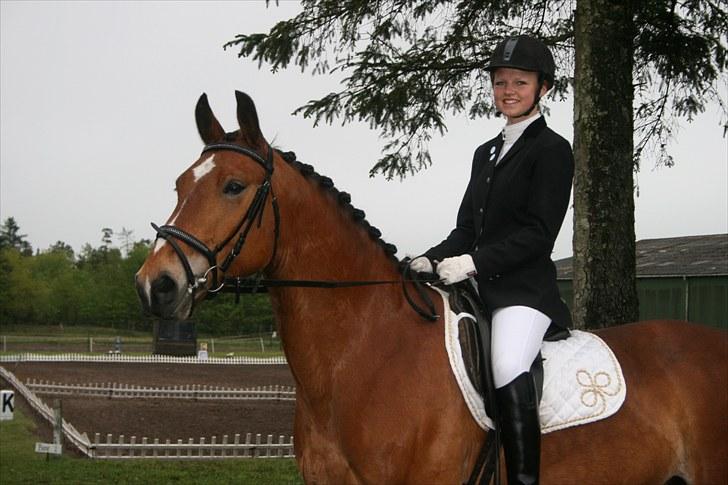 Anden særlig race Valentin af Rosenholm  - pinsestævne 2010 billede 5