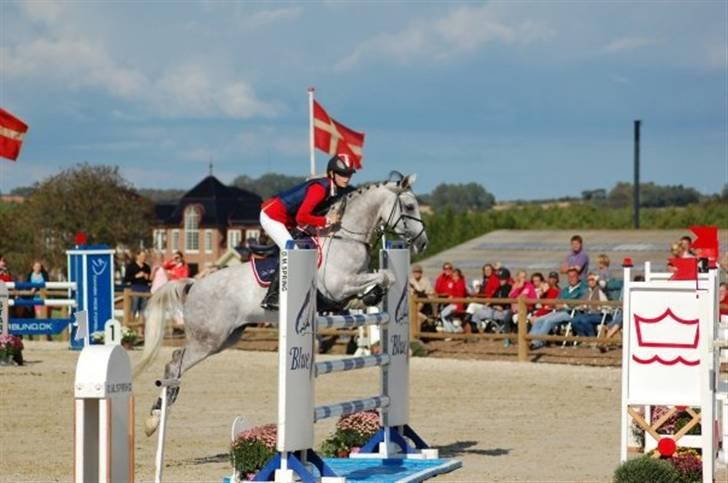 Anden særlig race | <3 Golden <3  - 2# Goldie & Jeg i SB 2 kval til DM 2009 :D<3 Foto: Sandra Wanner :D billede 2