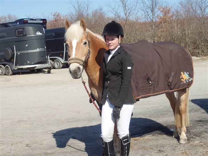 Haflinger CIRKELINE <3<3 - cirkeline elsker dig,,  billede 10