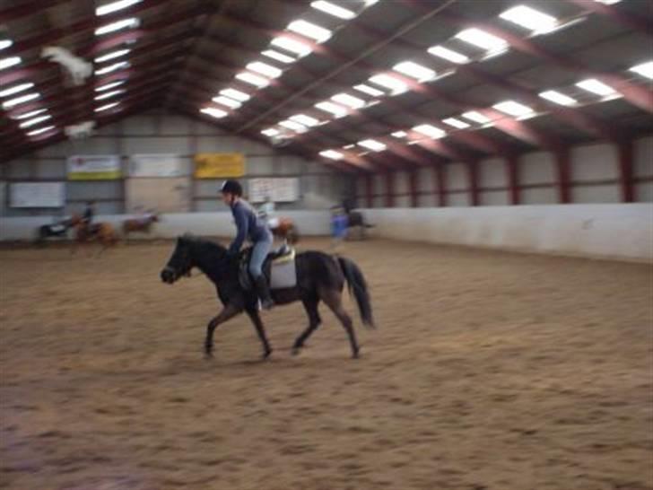 Dartmoor Beauty - Mig MEGET MEGET gammelt tror det er fra år. 2003:D<3 billede 16