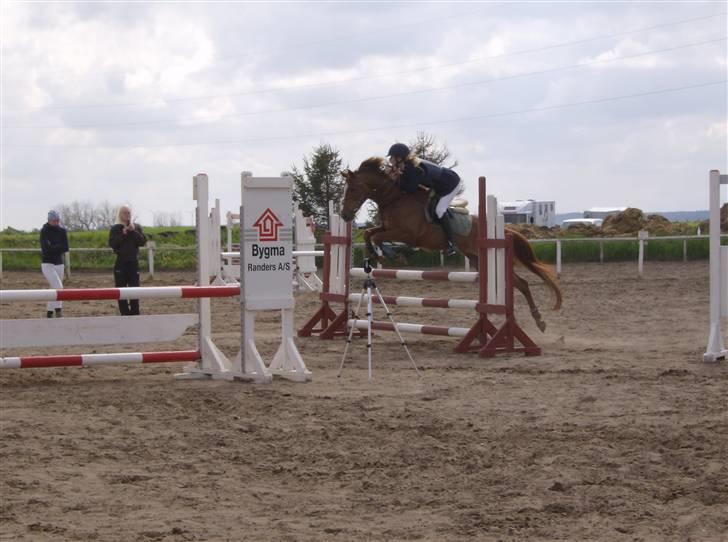 Anden særlig race | Smarties<3 - 2# smarte og mig til stævne<3 Foto: Mor:) billede 2