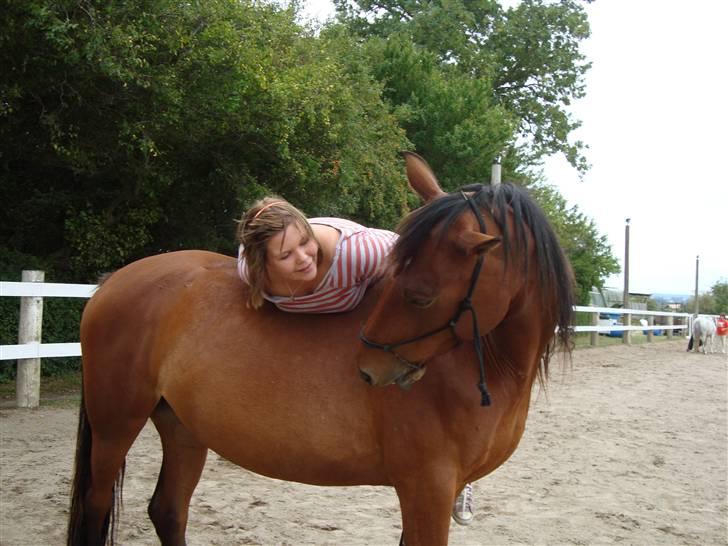 Anden særlig race Sakia <3 my pride - ååååh sakia du betyder ALT for mig Foto: Signe Bendsen billede 4