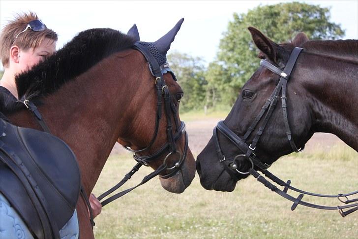 Anden særlig race Bianca - Fotograf: Lisa-Maria Lund Eriksen billede 11