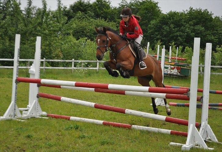 Anden særlig race Bianca - Springtræning foto: Dorthe Roothmann billede 6