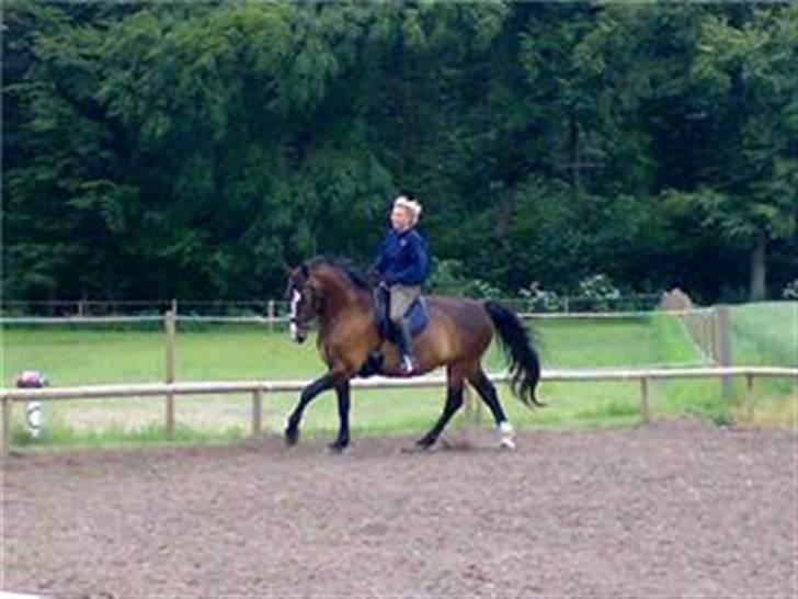 Oldenborg Tarzan Anholm - min bedste veninde rider min lille tosse billede 7