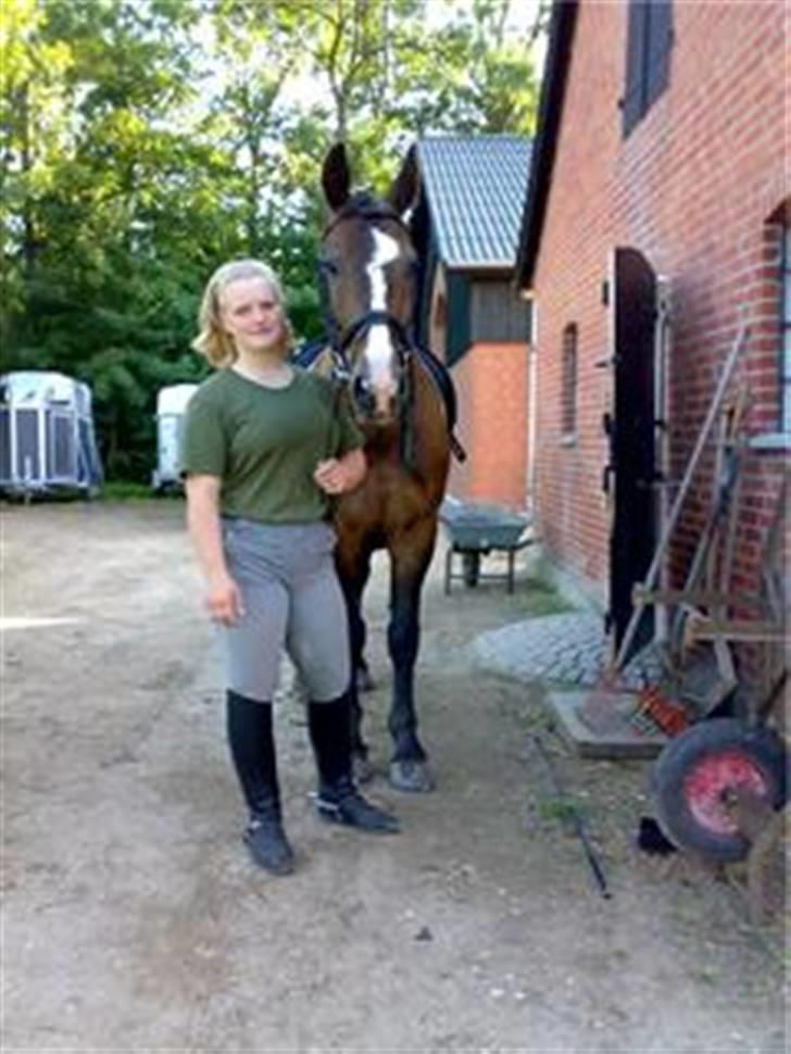 Oldenborg Tarzan Anholm billede 9