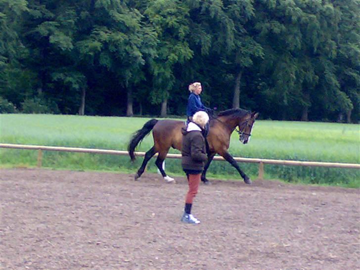 Oldenborg Tarzan Anholm billede 11