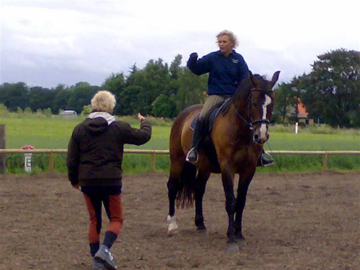 Oldenborg Tarzan Anholm billede 12