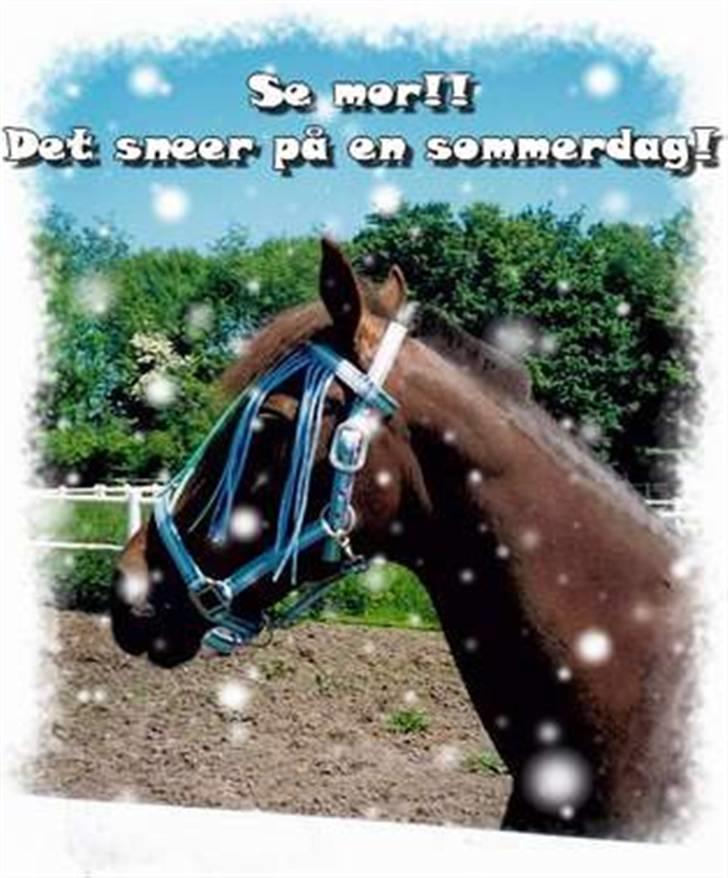 Traver Uriel(R.I.P) - Her er et sjovt billed dig som har lavet det ser dette så send venligst navn så det bliver skrevet på billedet billede 18