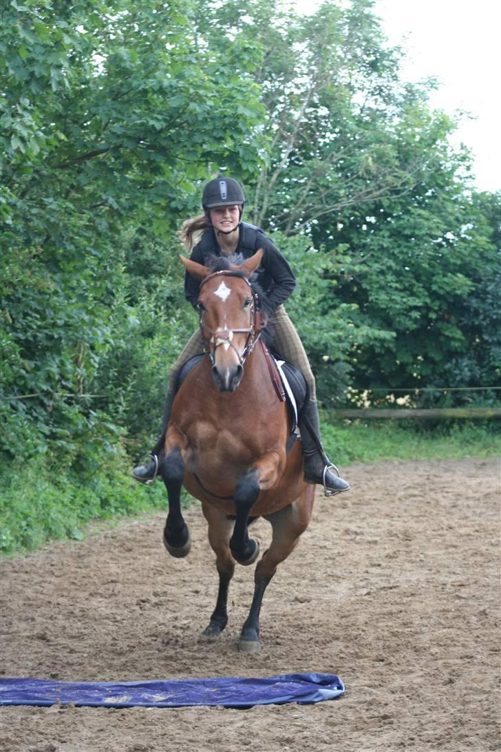 Anden særlig race Valentin af Rosenholm  - Ja .. De klæ´r virkelig hinanden ik? <33 Knus Marianne  ;) foto: Marianne ..  billede 10