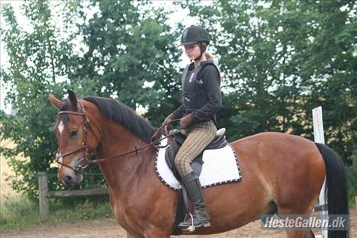 Anden særlig race Valentin af Rosenholm  - sommer 2009 billede 12