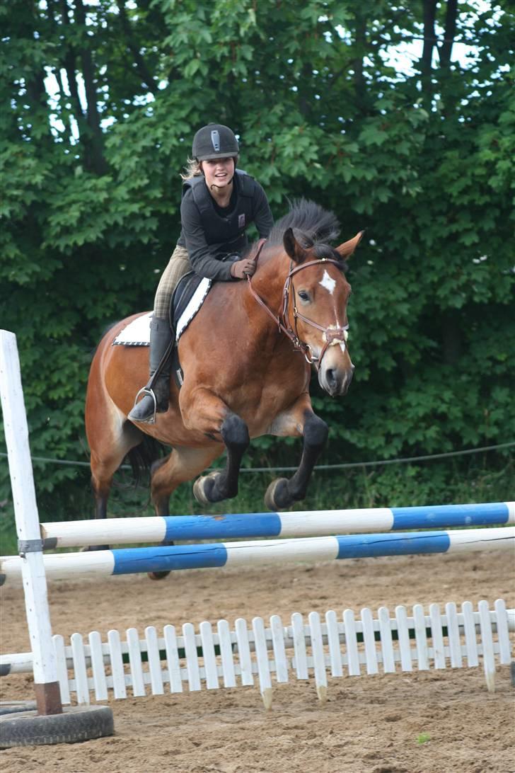 Anden særlig race Valentin af Rosenholm  - "weei, her kommer vi" Foto: Sabine billede 13