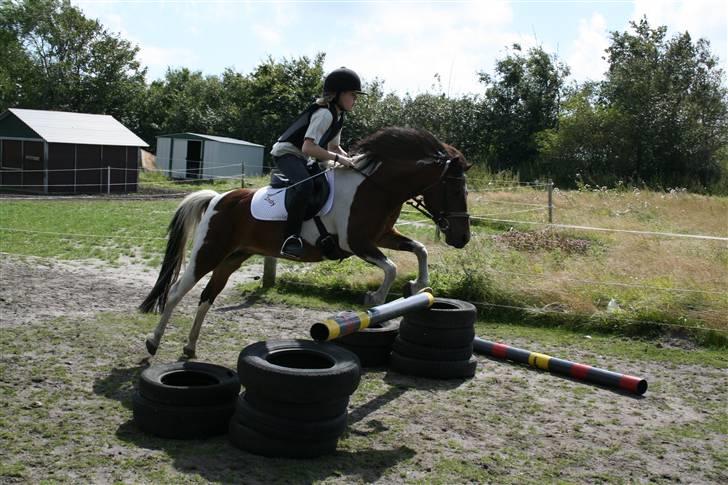 Pinto Indy  - i belive i can flyyy... ?? ehmm ..  billede 16