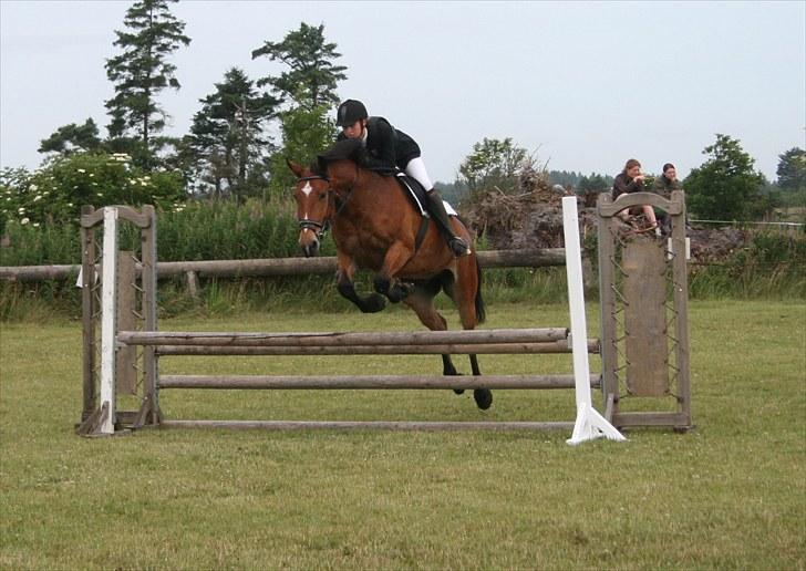 Anden særlig race Valentin af Rosenholm  - hodsager stævne 2010  Foto: Marianne billede 15