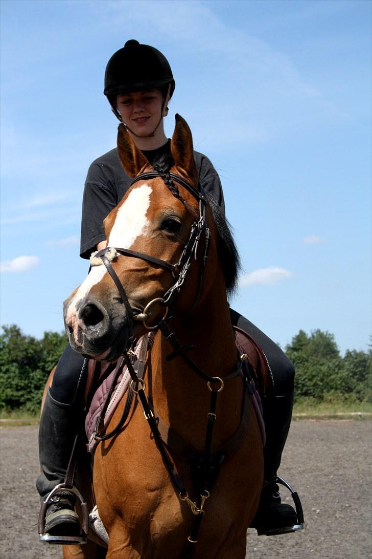 Tysk Sportspony Kong Arthur <3 - 20# Mig og Arthur siger pænt farvel! Kig gerne forbi en anden gang (: billede 20