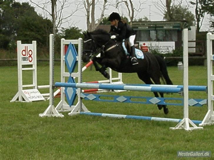 Anden særlig race Mickey - PENSIONERET - 2009 billede 2