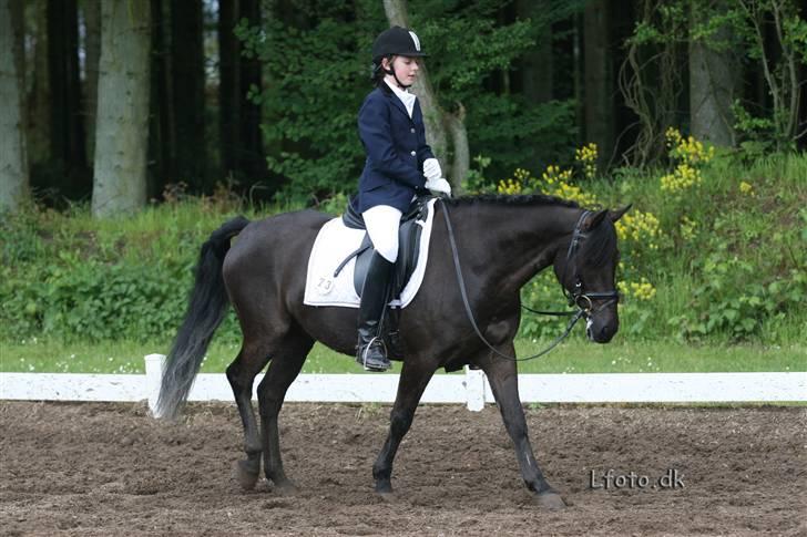 Anden særlig race Mickey - PENSIONERET - 2006 billede 5