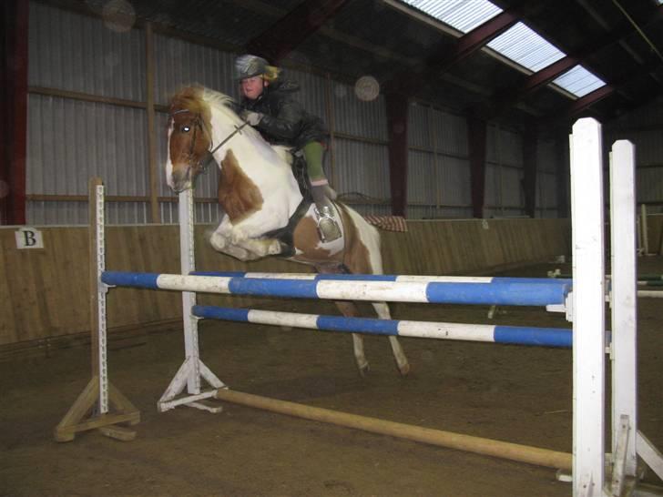 Pinto HOKUSPOKUS - Hokuspokus og jeg i lækker stil over 110 cm billede 1