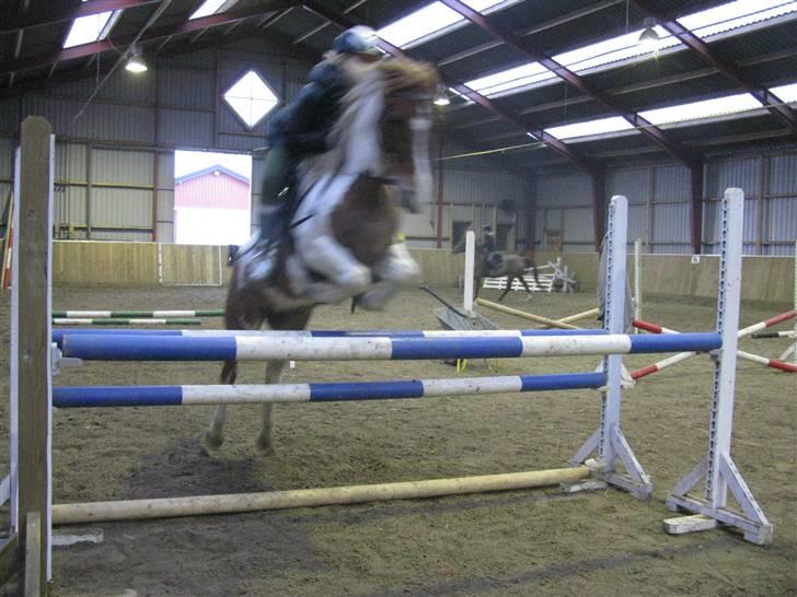 Pinto HOKUSPOKUS - Hokuspokus og jeg i lækker stil over 100 cm. billede 6