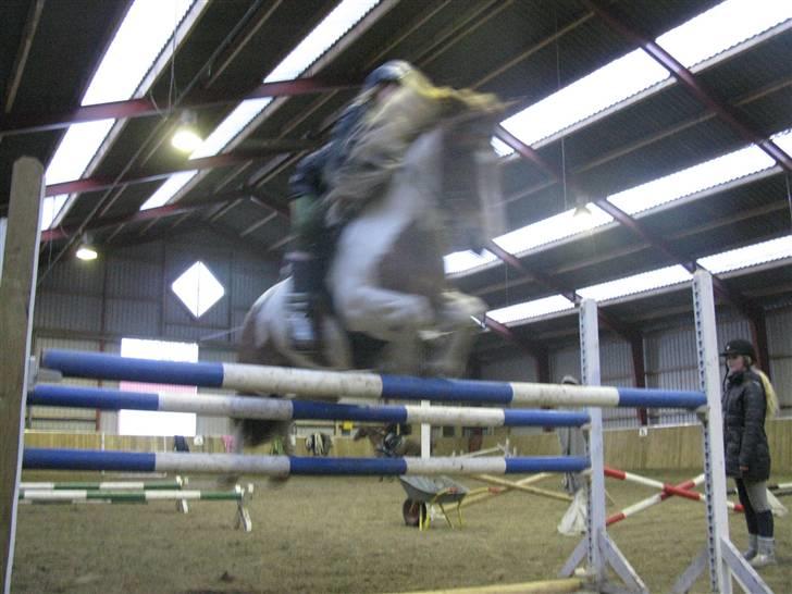 Pinto HOKUSPOKUS - Hokuspokus og jeg - springtræning herhjemme 110 cm. billede 13