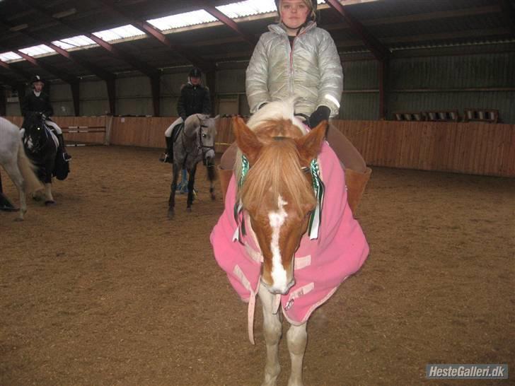 Pinto HOKUSPOKUS - Hokuspokus og jeg - stævne i KOOR. billede 14