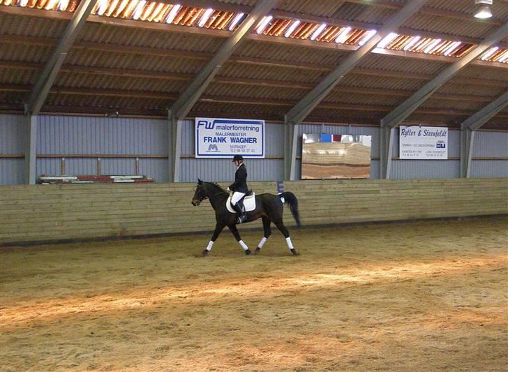 Traver Knight Wax<3 *SOLGT /:* - Knight Wax & jeg til første udestævne i Mariager. Red Beg.1 & LC1 Fotograf: Min far billede 16