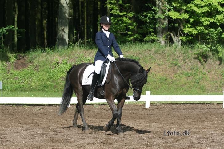 Anden særlig race Mickey - PENSIONERET billede 17